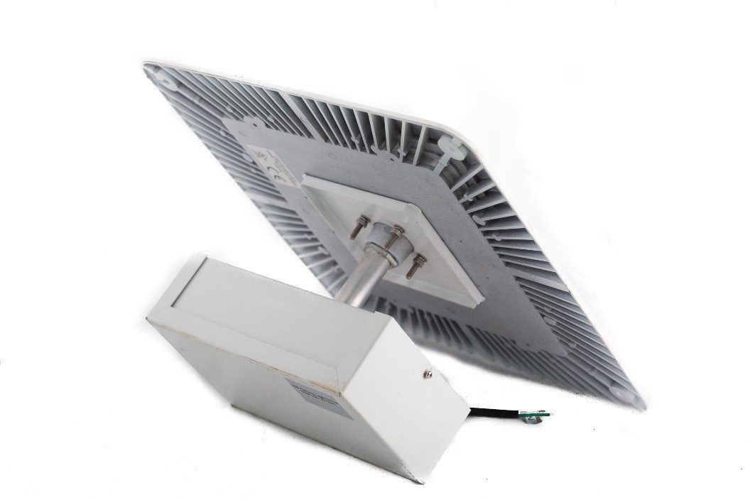 LED Canopy Light